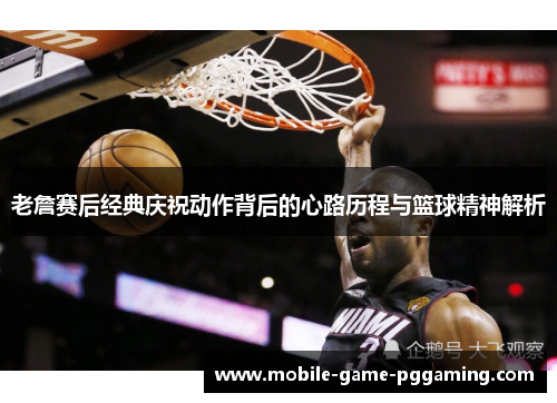 老詹赛后经典庆祝动作背后的心路历程与篮球精神解析