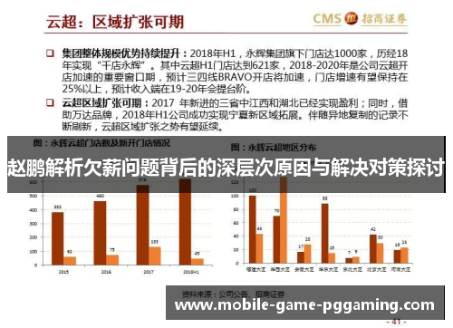 赵鹏解析欠薪问题背后的深层次原因与解决对策探讨