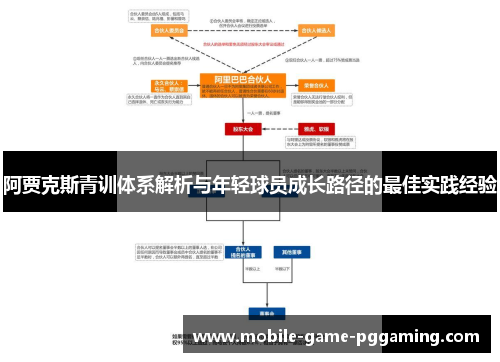 阿贾克斯青训体系解析与年轻球员成长路径的最佳实践经验