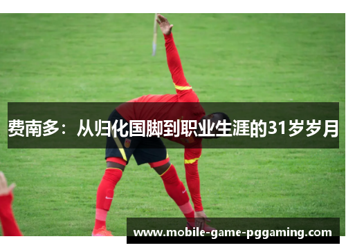 费南多：从归化国脚到职业生涯的31岁岁月