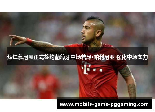 拜仁慕尼黑正式签约葡萄牙中场若昂·帕利尼亚 强化中场实力