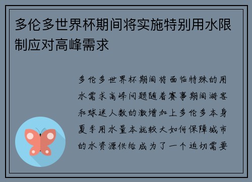 多伦多世界杯期间将实施特别用水限制应对高峰需求